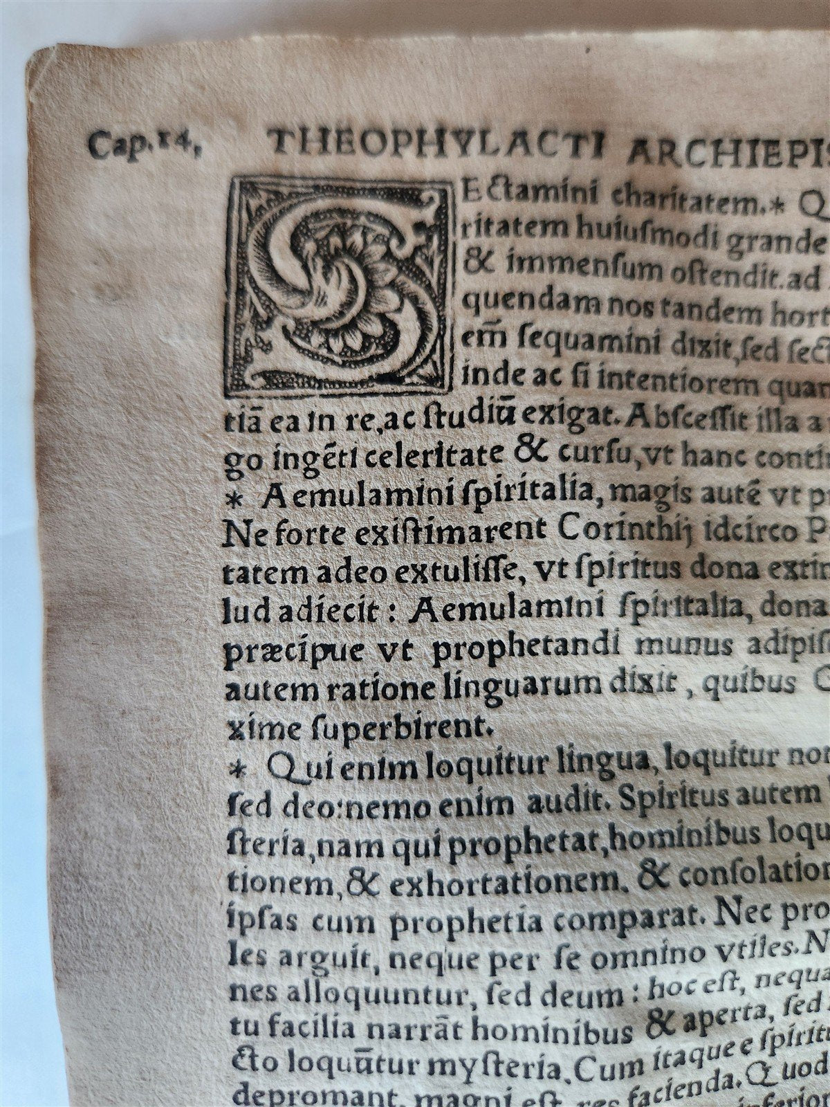 1537 Theophylactus de Achrida ANTIQUE In omnes D. Pauli epistolas enarrationes