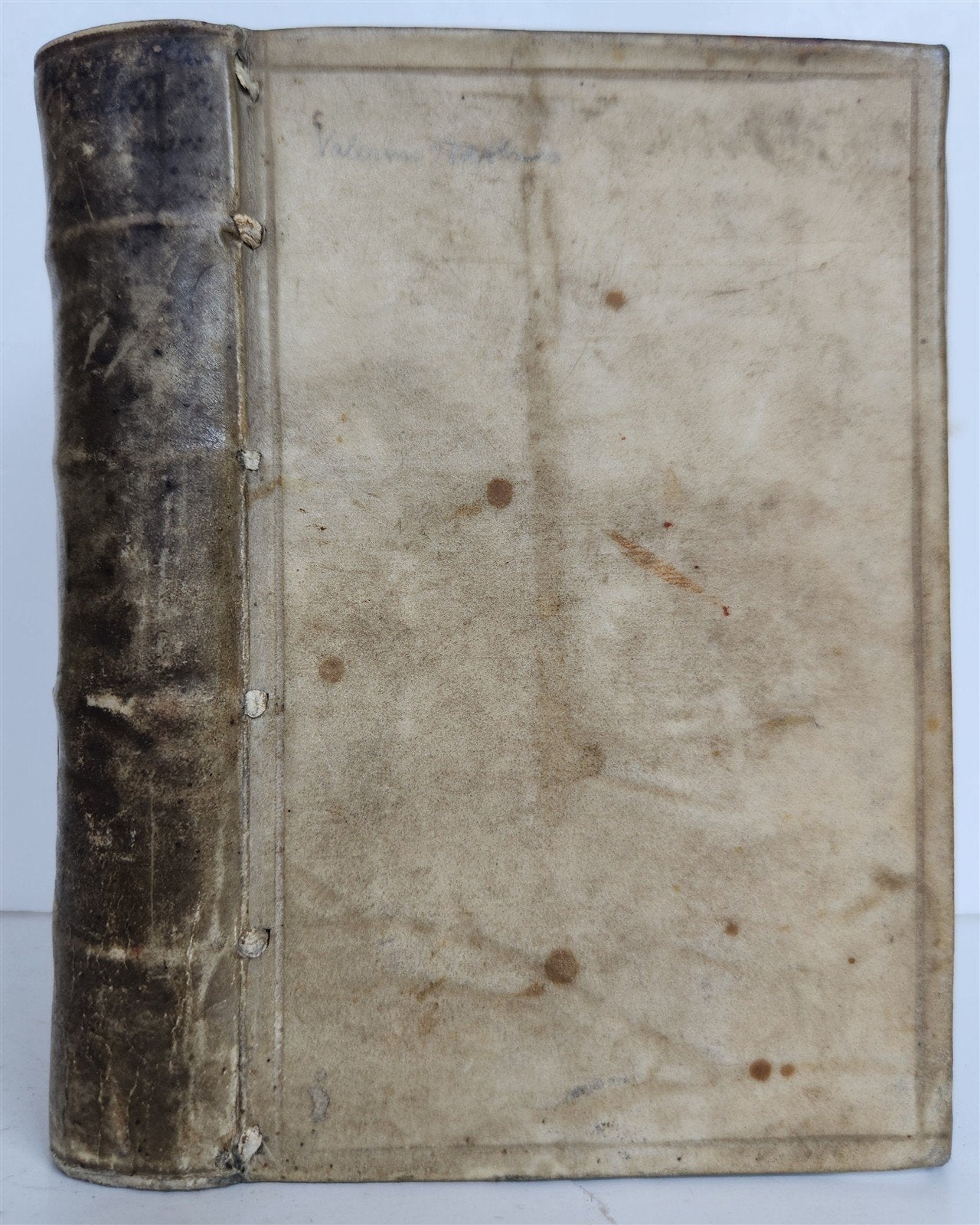 1594 PLANTIN PUBLISHING VALERIUS MAXIMUS VELLUM antique 16th Century