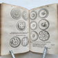 1592 ILLUSTRATED ANCIENT WARFARE TREATISE by V.Flavius antique VELLUM BINDING
