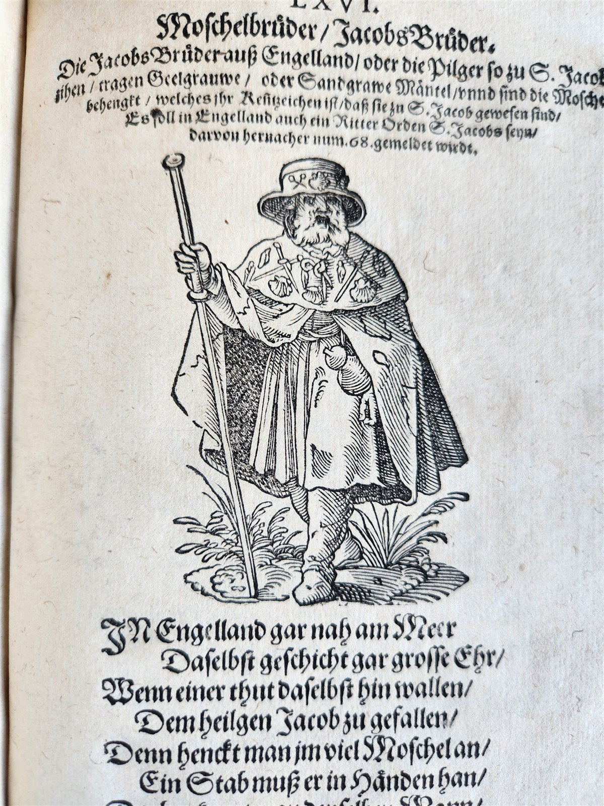 1585 ORDERS of CATHOLIC CHURCH Lonicer ILLUSTRATED by JOST AMMAN antique VELLUM