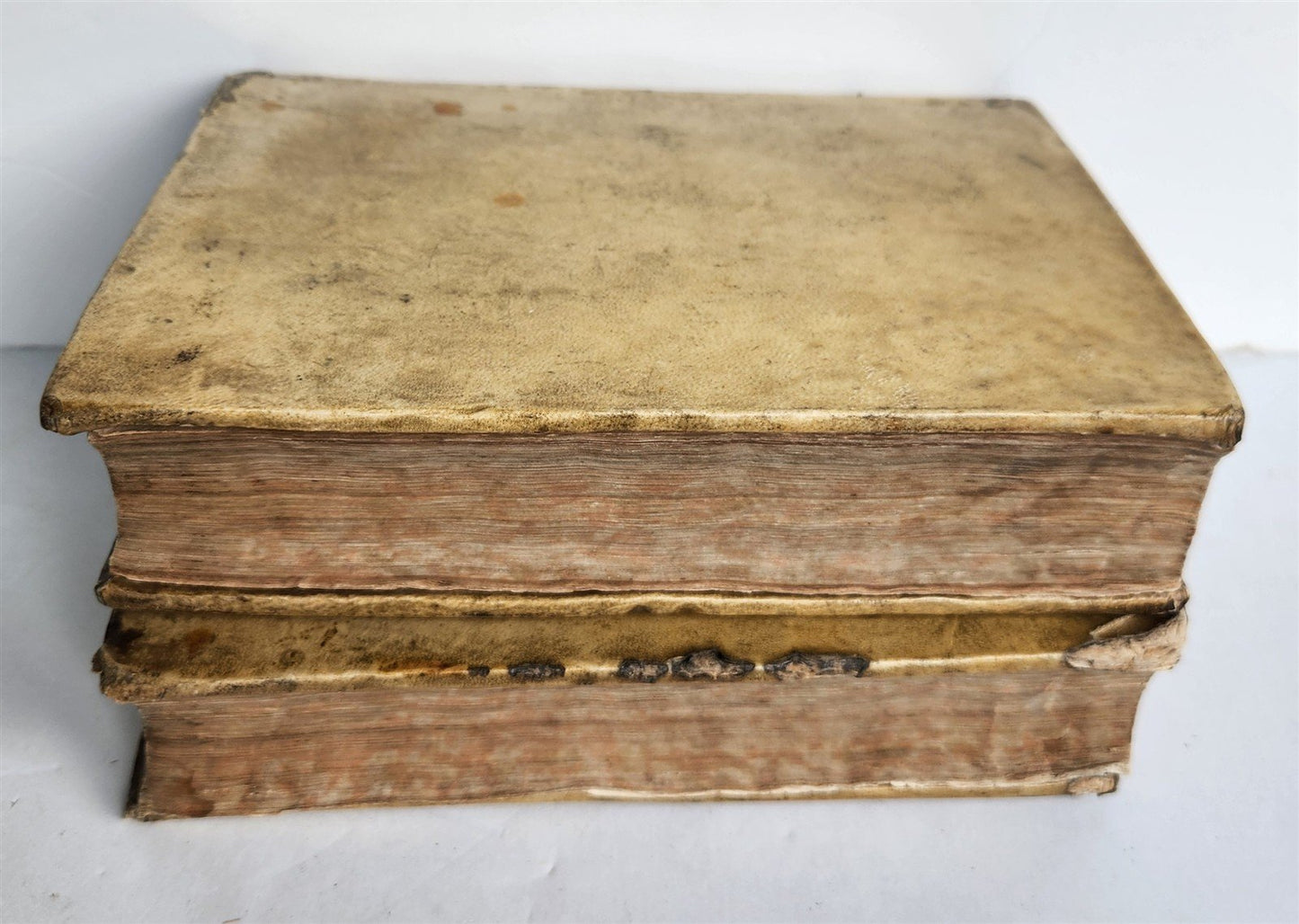 1598 PLUTARCH PHILOSOPHICAL WORK Opuscoli Morali 2 VOLUMES antique VELLUM BOUND