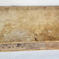 1544 POETRY by HORACE antique ILLUSTRATED VELLUM BOUND 16th CENTURY FOLIO
