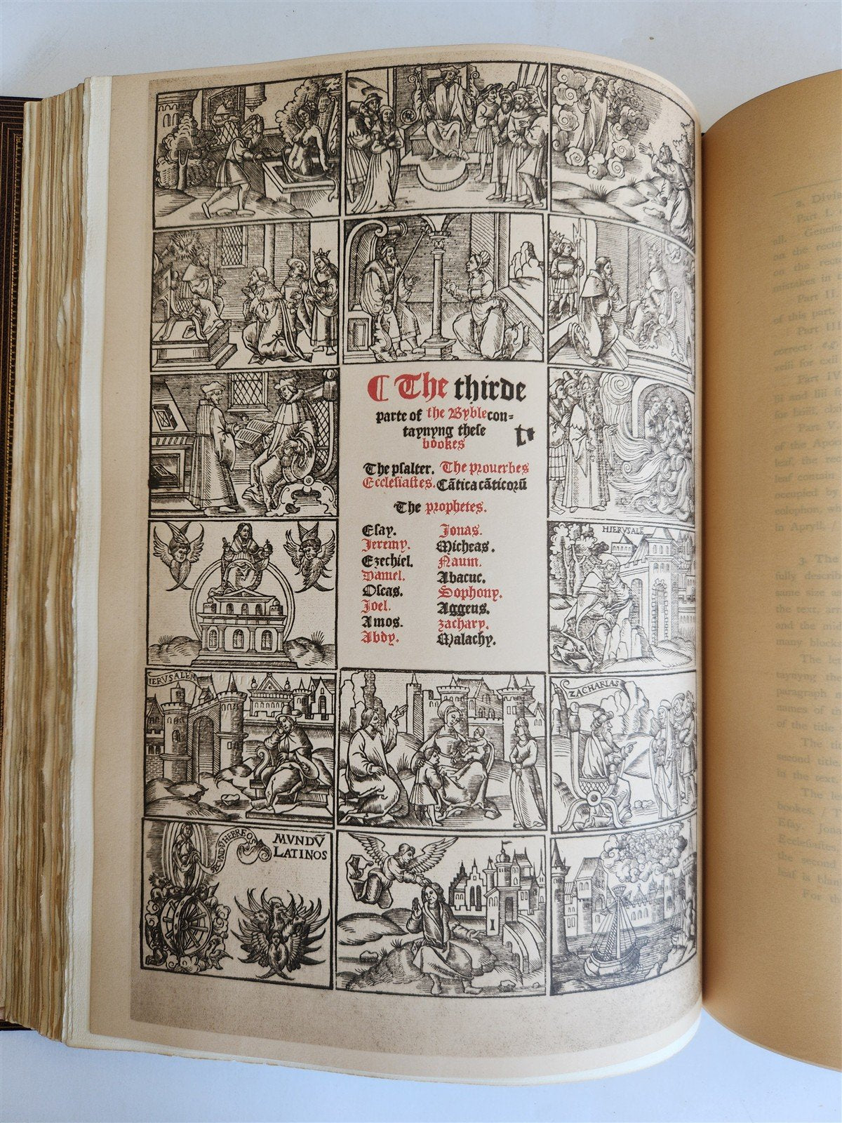 1899 ENGLISH BIBLE in JOHN RYLANDS LIBRARY 1525 -1640 illustrated folio ANTIQUE