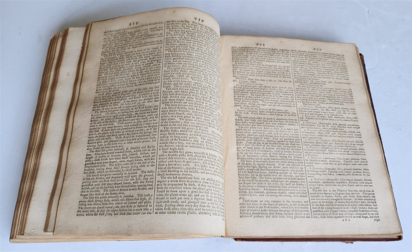 1771 Abridgement of the Gardeners Dictionary ILLUSTRATED in ENGLISH antique