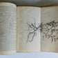 1771 Abridgement of the Gardeners Dictionary ILLUSTRATED in ENGLISH antique