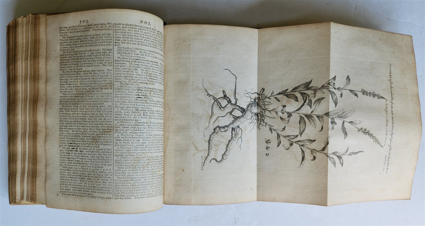1771 Abridgement of the Gardeners Dictionary ILLUSTRATED in ENGLISH antique