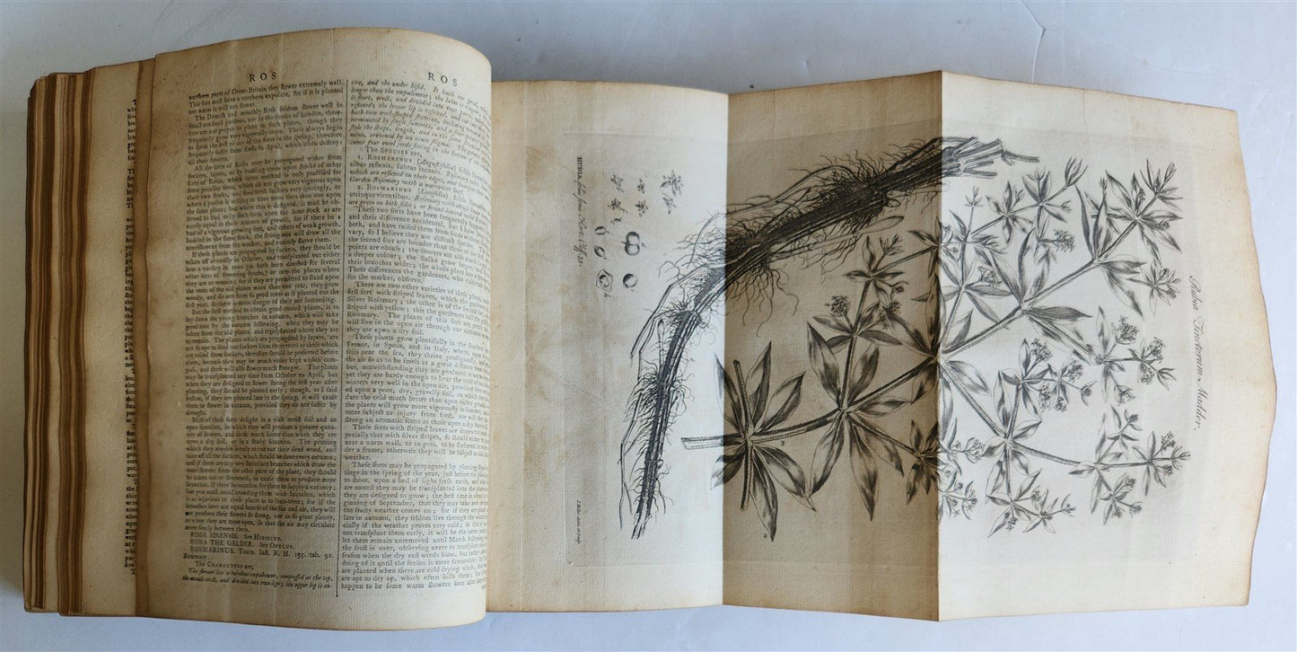 1771 Abridgement of the Gardeners Dictionary ILLUSTRATED in ENGLISH antique