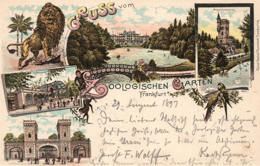 FRANKFURT ZOO GERMANY 1897 ANTIQUE POSTCARD