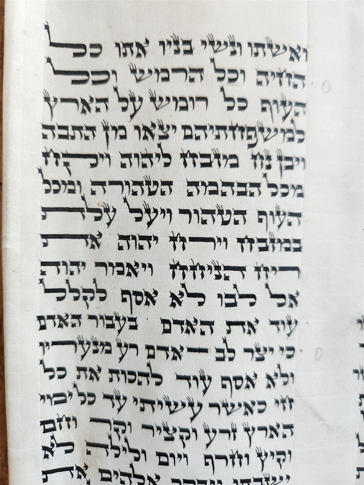 TORAH SCROLL FRAGMENT MANUSCRIPT on VELLUM antique 10 COLUMNS