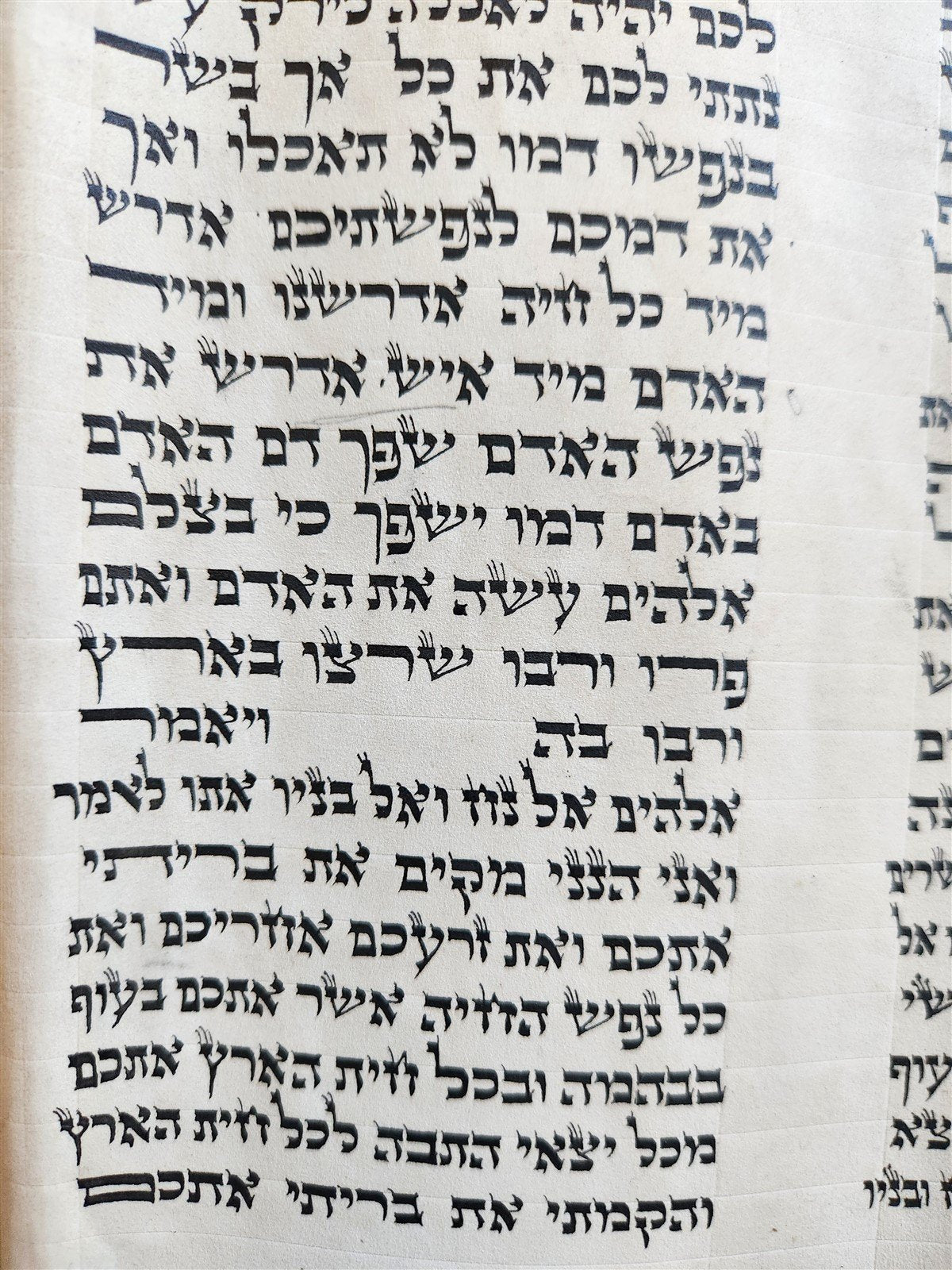 TORAH SCROLL FRAGMENT MANUSCRIPT on VELLUM antique 10 COLUMNS