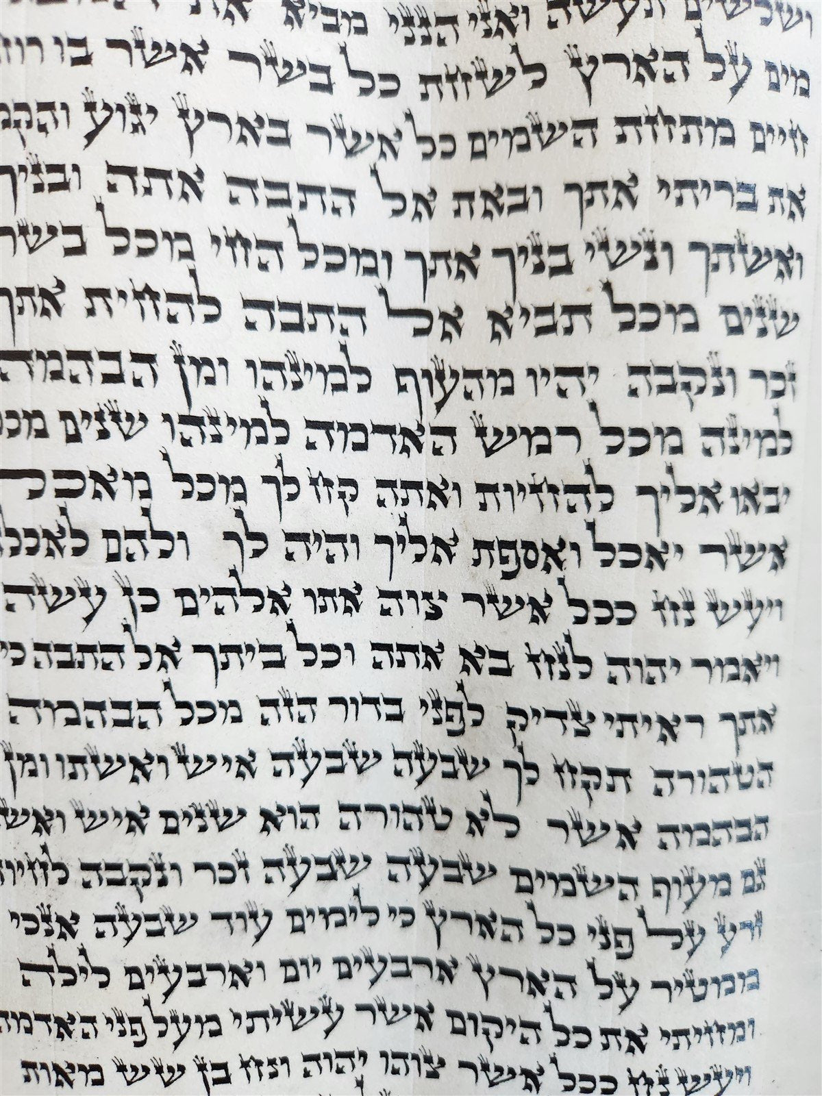TORAH SCROLL FRAGMENT MANUSCRIPT on VELLUM antique 10 COLUMNS