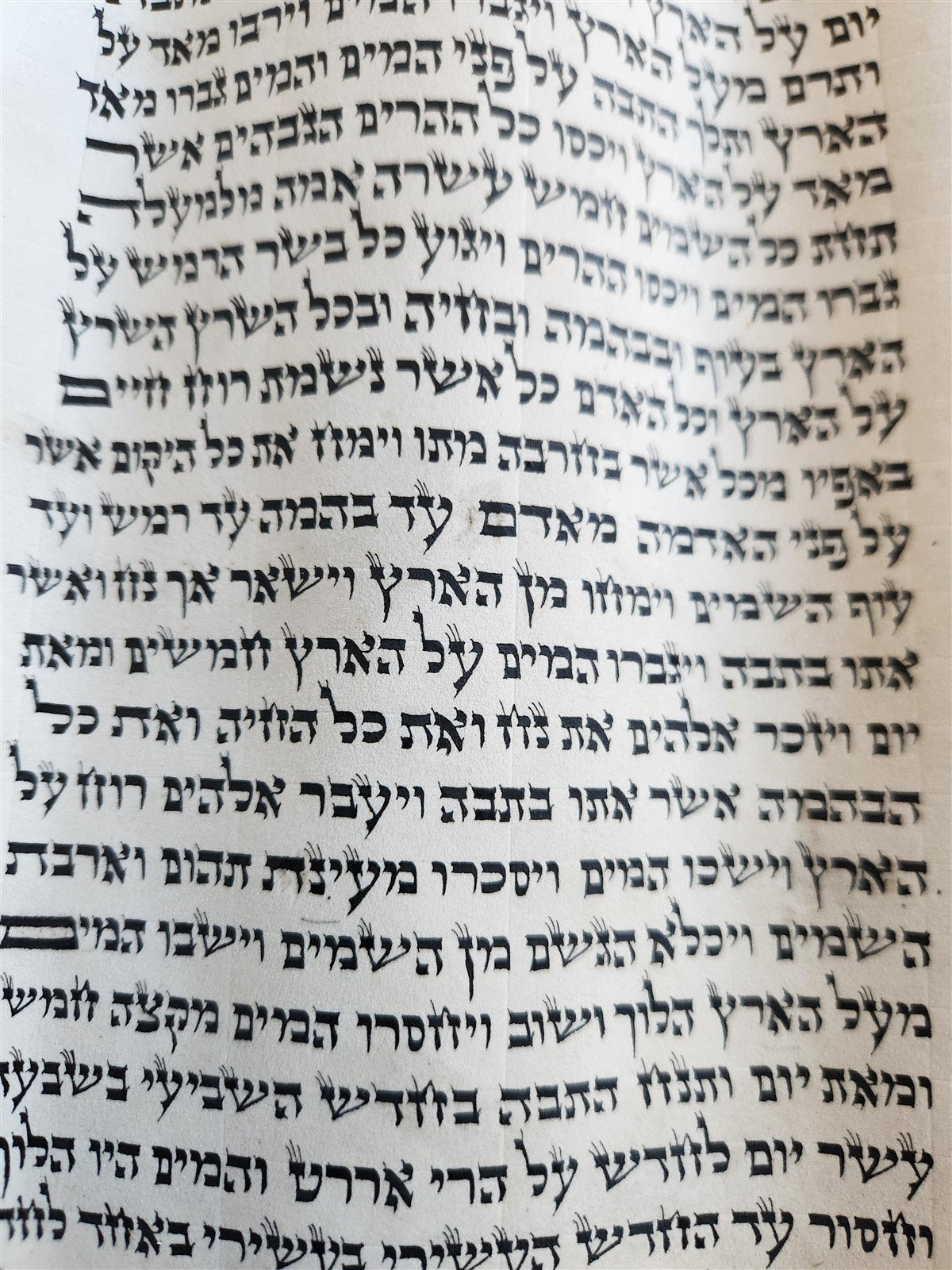 TORAH SCROLL FRAGMENT MANUSCRIPT on VELLUM antique 10 COLUMNS