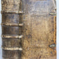1590 CHEMNITZ Examinis decretorum concilii Tridentini antique 16th cent. PIGSKIN