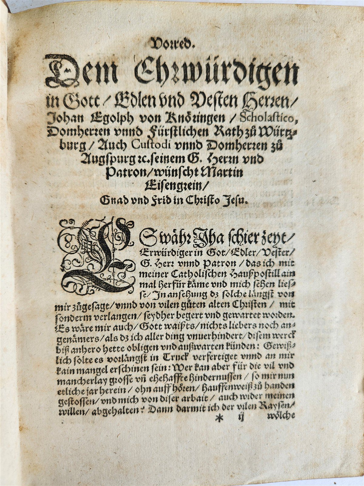 1568 THEOLOGY by Martin Eisengrein in GERMAN antique 16th century PIGSKIN BOUND