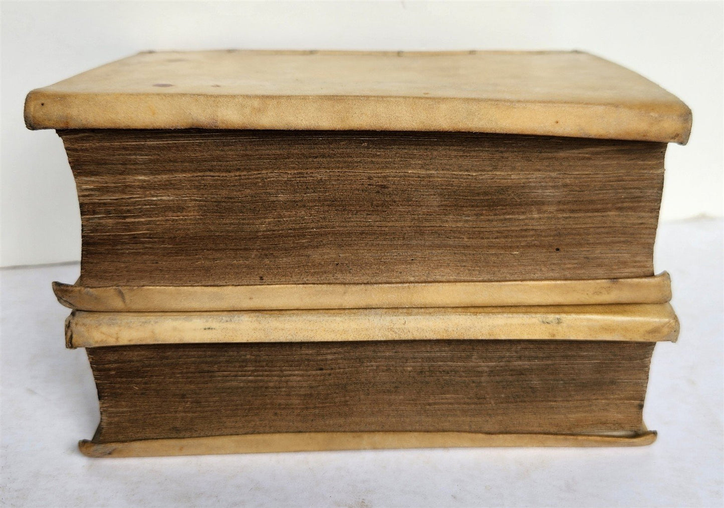 1593 ARISTOTELIS Tomus Physicus 2 VOLUMES antique 16th century VELLUM BOUND