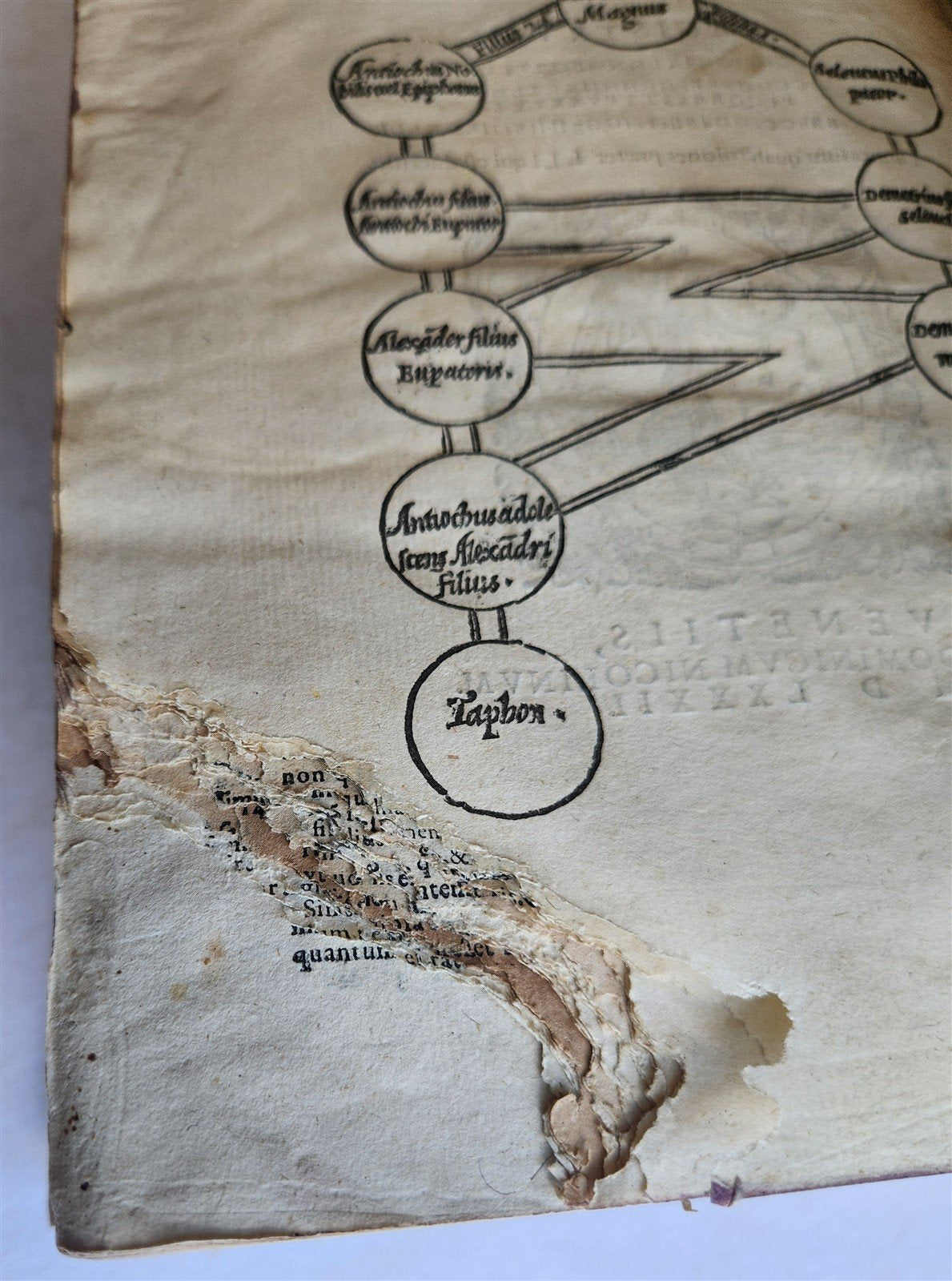 1582 HOMILIES of JOHN CHRYSOSTOM antique 16th century VELLUM BOUND