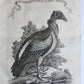1763 IL GAZZETTIERE AMERICANO antique ILLUSTRATED w/ MAPS & ENGRAVINGS FOLIO