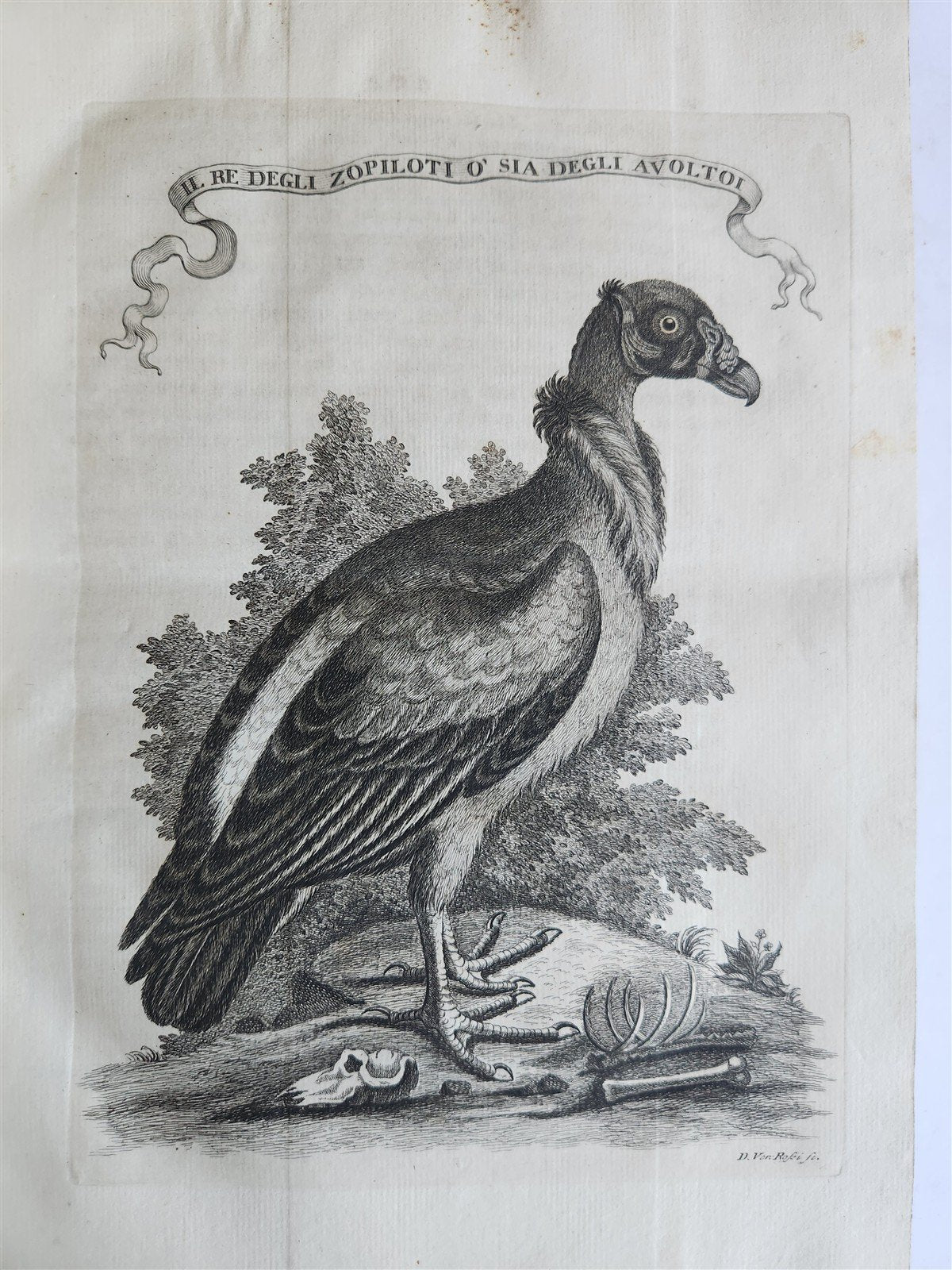 1763 IL GAZZETTIERE AMERICANO antique ILLUSTRATED w/ MAPS & ENGRAVINGS FOLIO