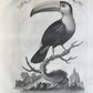 1763 IL GAZZETTIERE AMERICANO antique ILLUSTRATED w/ MAPS & ENGRAVINGS FOLIO