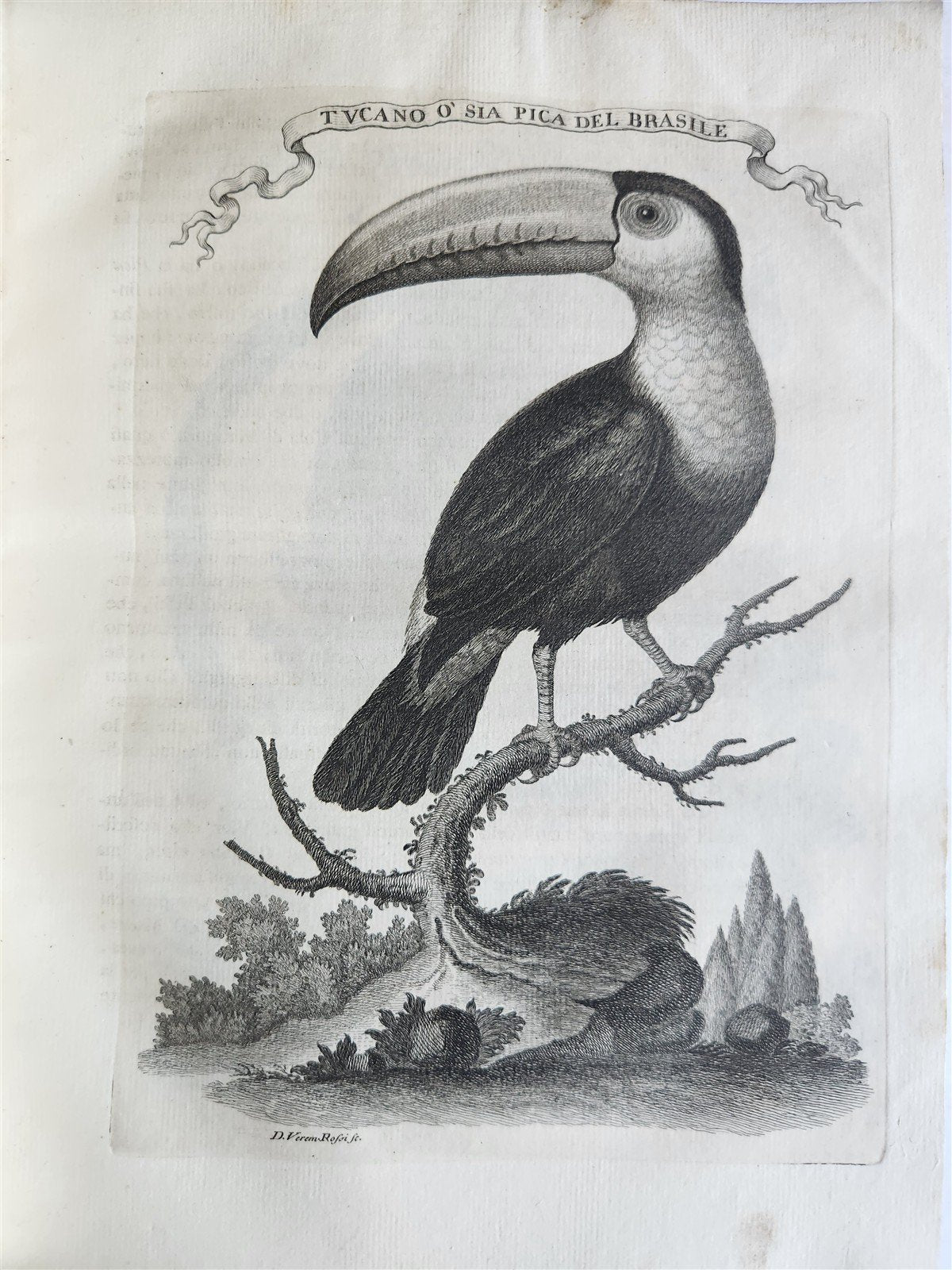 1763 IL GAZZETTIERE AMERICANO antique ILLUSTRATED w/ MAPS & ENGRAVINGS FOLIO
