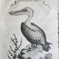 1763 IL GAZZETTIERE AMERICANO antique ILLUSTRATED w/ MAPS & ENGRAVINGS FOLIO
