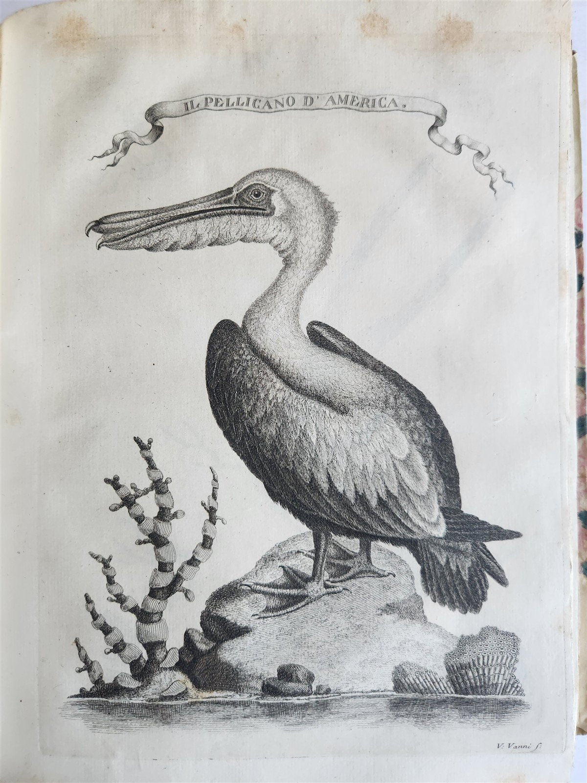 1763 IL GAZZETTIERE AMERICANO antique ILLUSTRATED w/ MAPS & ENGRAVINGS FOLIO