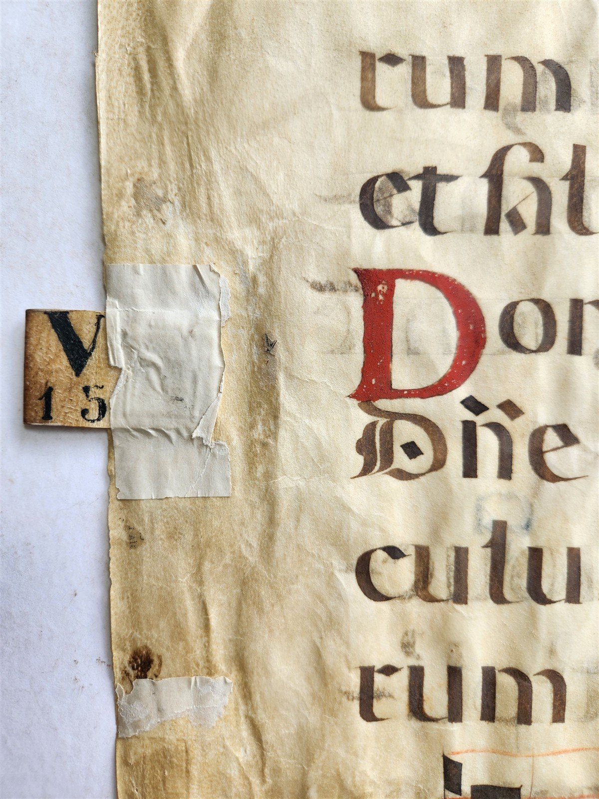 16th century ANTIPHONAL VELLUM MANUSCRIPT antique LITURGICAL TEXT in LATIN 18x27