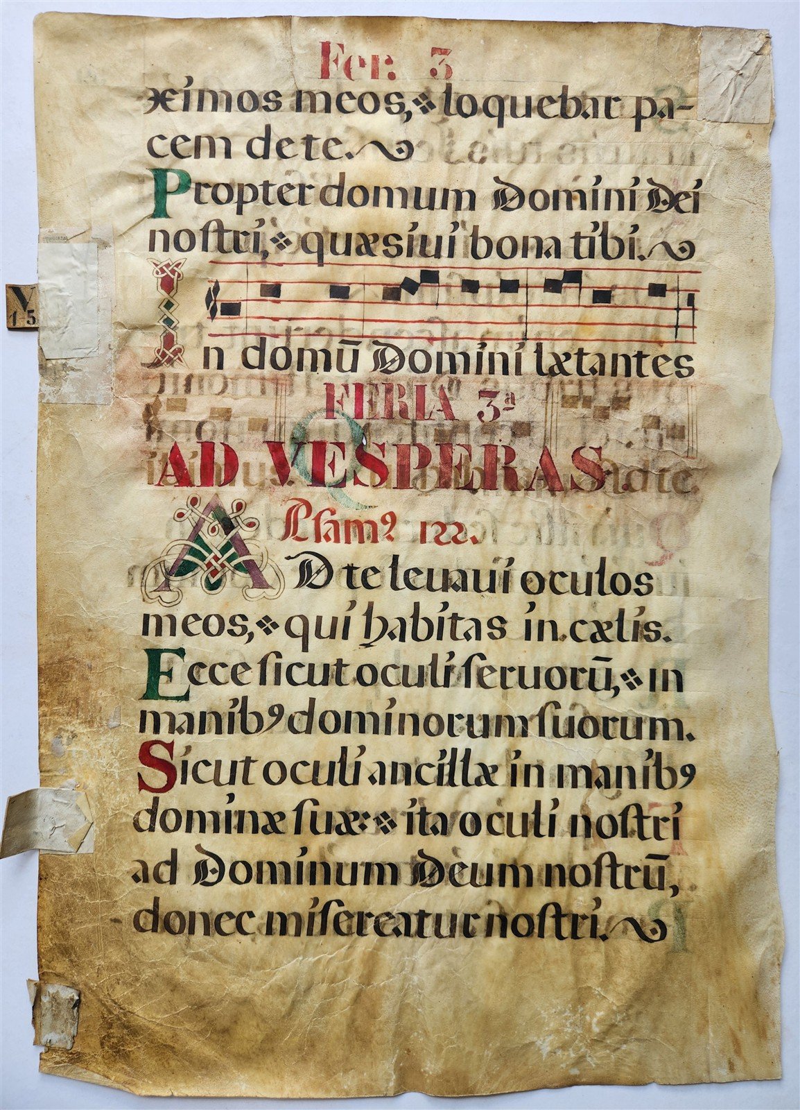 16th cent. ANTIPHONAL VELLUM MANUSCRIPT antique LITURGICAL TEXT in LATIN 18x27"