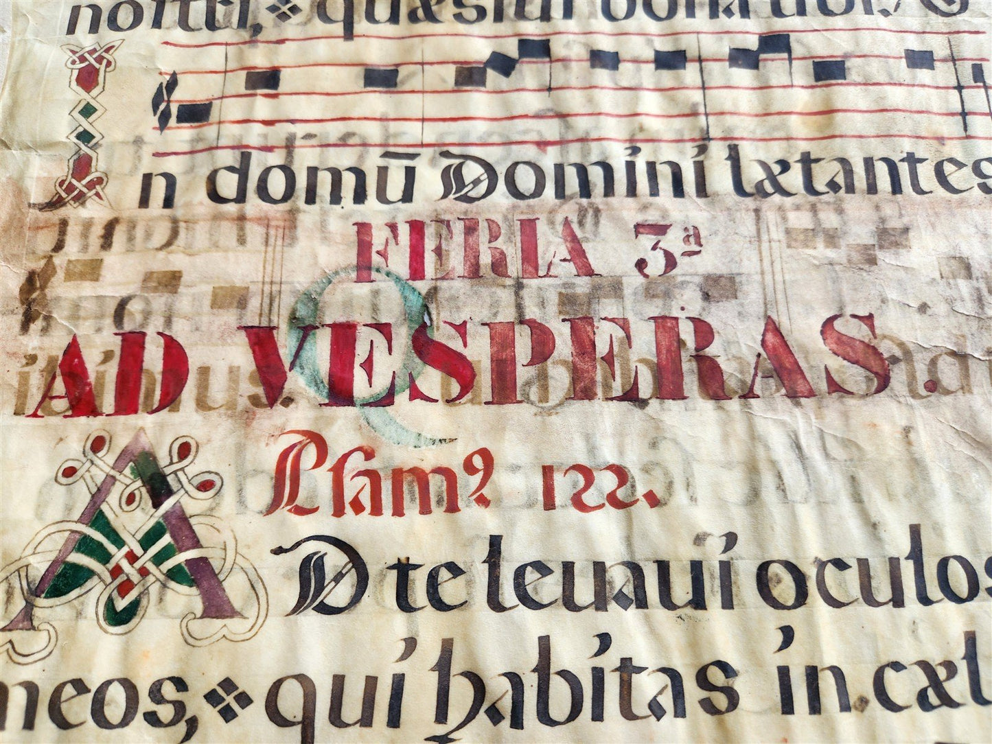 16th cent. ANTIPHONAL VELLUM MANUSCRIPT antique LITURGICAL TEXT in LATIN 18x27"