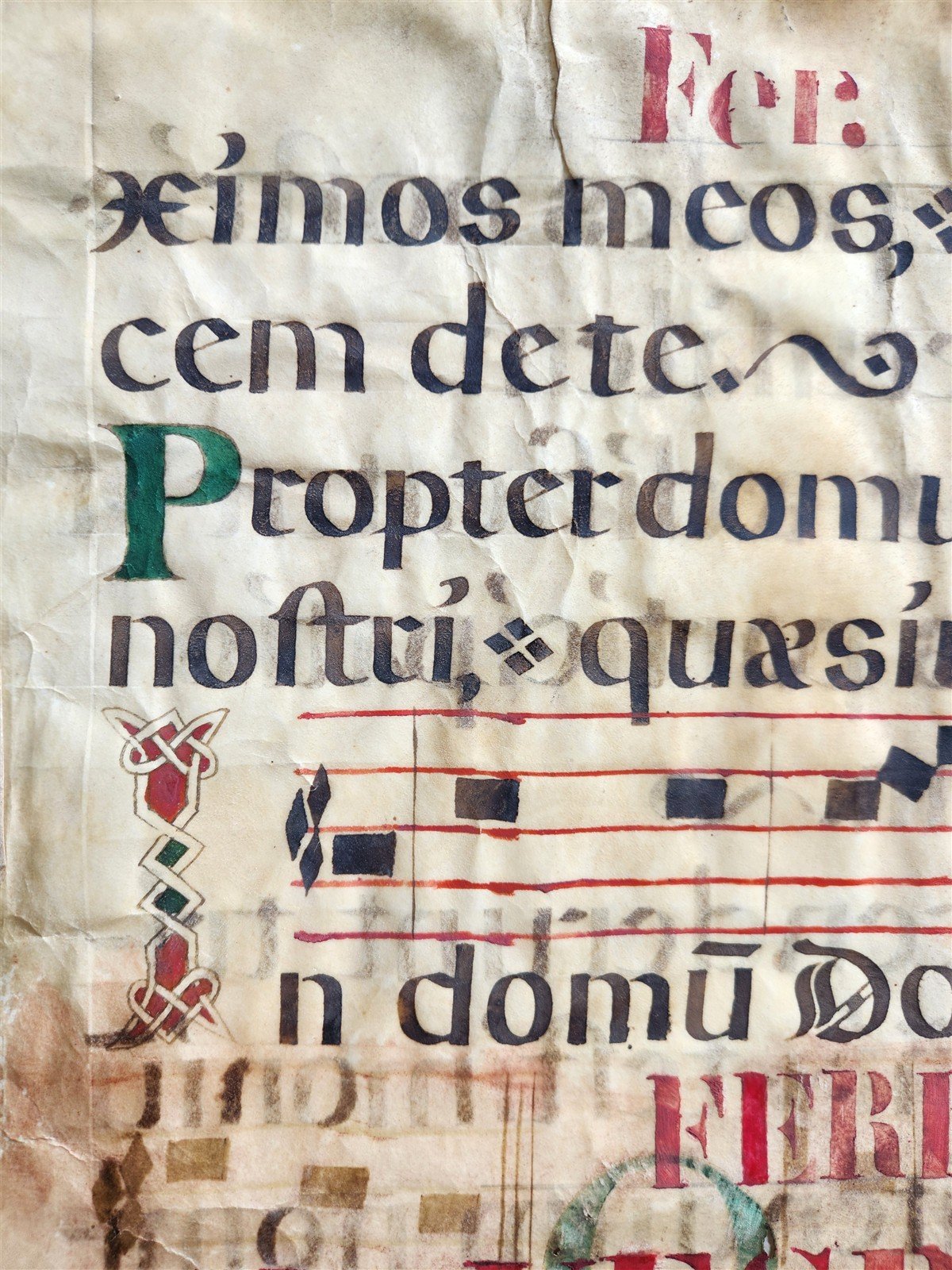 16th cent. ANTIPHONAL VELLUM MANUSCRIPT antique LITURGICAL TEXT in LATIN 18x27"