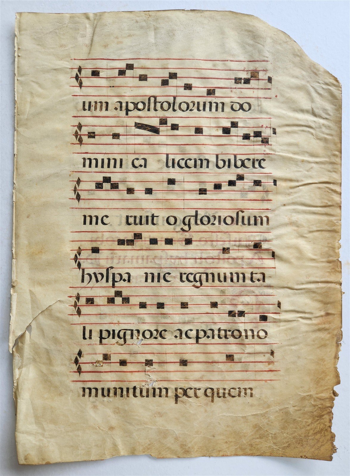 16th cent. ANTIPHONAL MUSIC CHART VELLUM MANUSCRIPT antique LITURGICAL TEXT