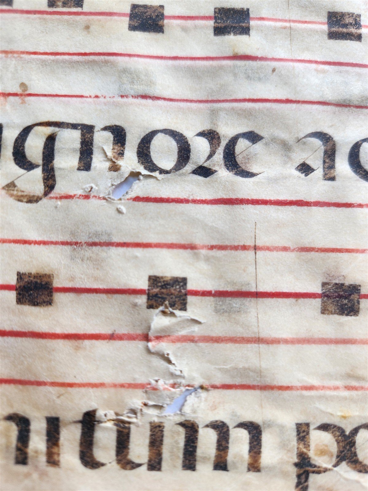 16th cent. ANTIPHONAL MUSIC CHART VELLUM MANUSCRIPT antique LITURGICAL TEXT