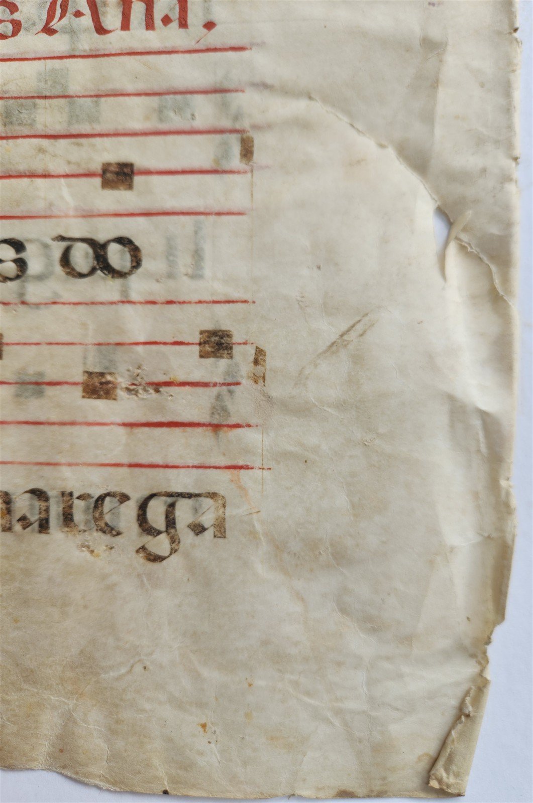 16th cent. ANTIPHONAL MUSIC CHART VELLUM MANUSCRIPT antique LITURGICAL TEXT