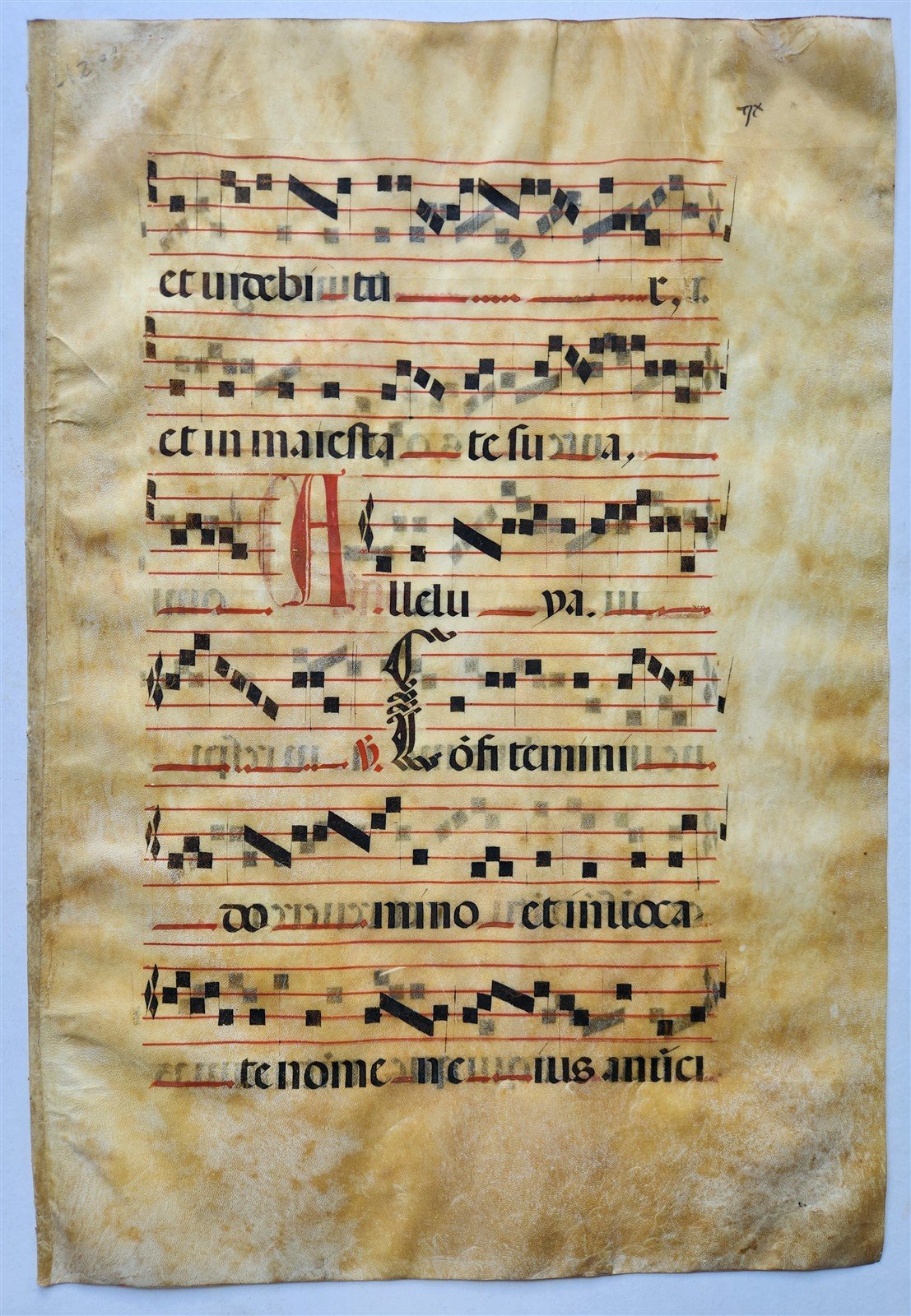 17th cent. ANTIPHONAL MUSIC CHART VELLUM MANUSCRIPT antique LITURGICAL in LATIN