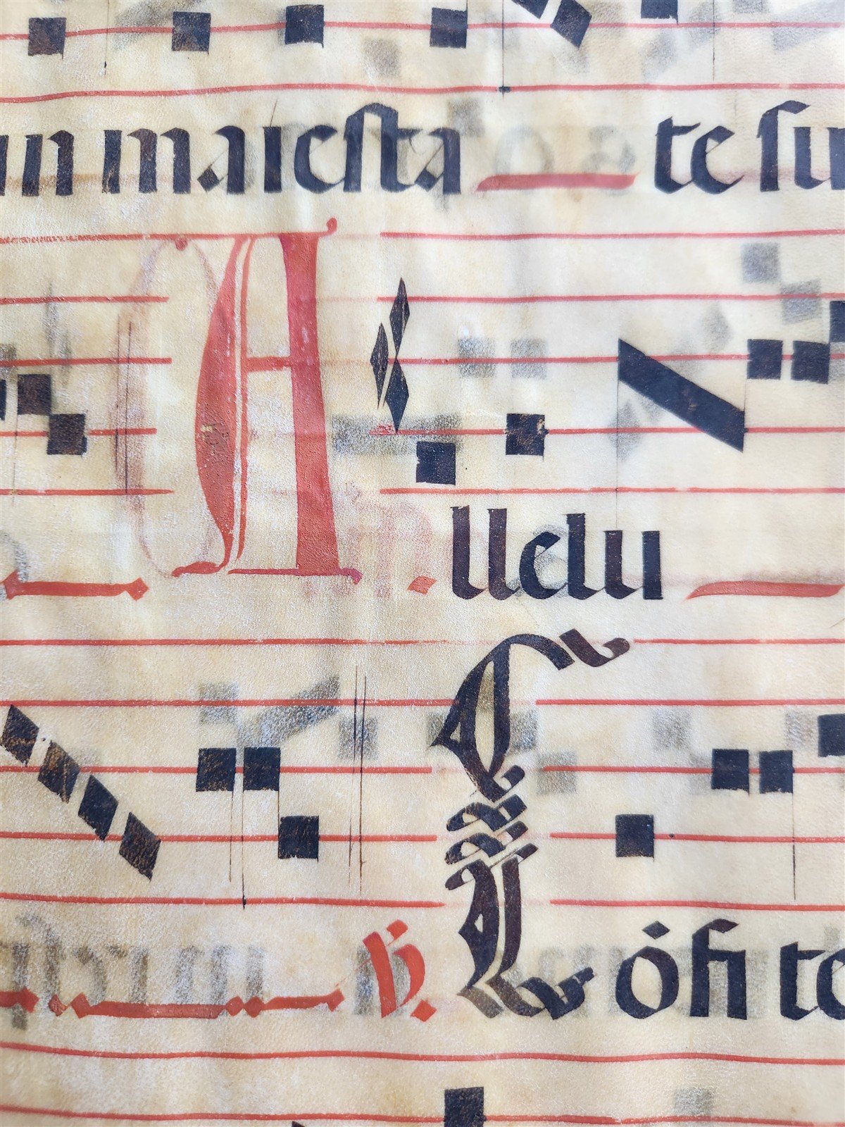 17th cent. ANTIPHONAL MUSIC CHART VELLUM MANUSCRIPT antique LITURGICAL in LATIN