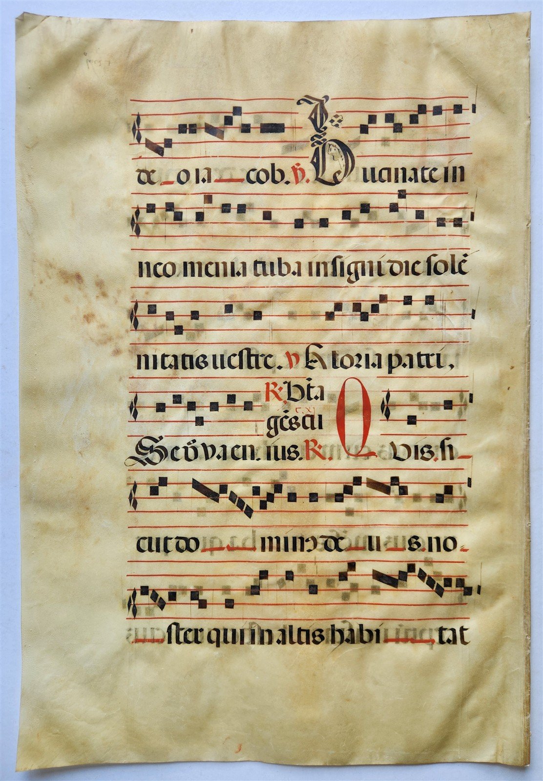 17th century ANTIPHONAL MUSIC CHART VELLUM MANUSCRIPT antique LITURGICAL LATIN
