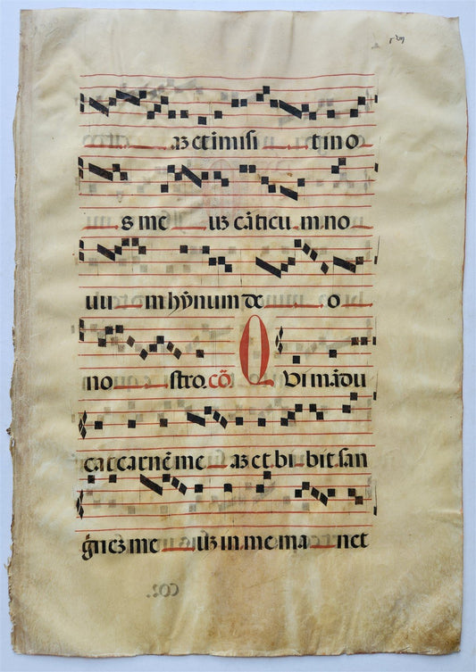 17th century ANTIPHONAL MUSIC CHART VELLUM MANUSCRIPT antique LITURGICAL 18x26"