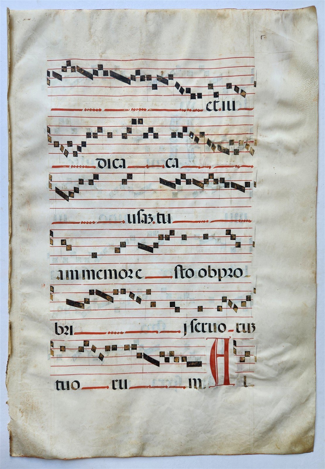 17th cent. ANTIPHONAL MUSIC CHART VELLUM MANUSCRIPT antique LITURGICAL 18 x 26"