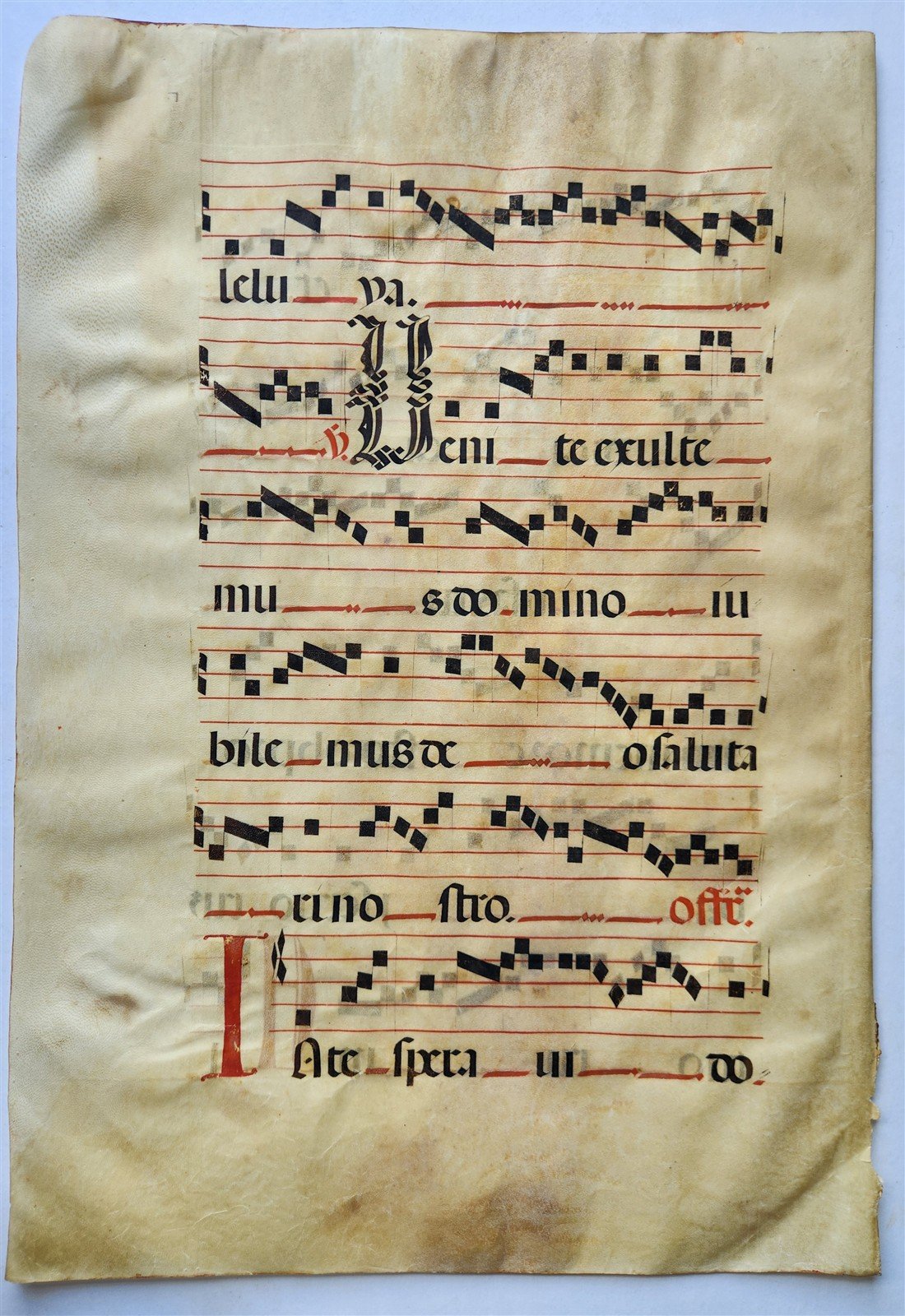17th cent. ANTIPHONAL MUSIC CHART VELLUM MANUSCRIPT antique LITURGICAL 18 x 26"