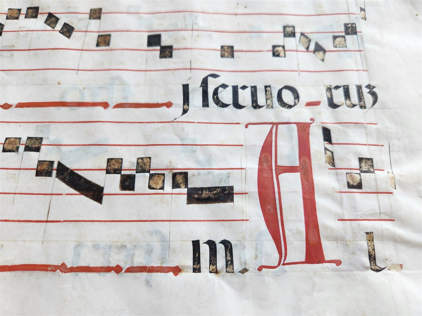 17th cent. ANTIPHONAL MUSIC CHART VELLUM MANUSCRIPT antique LITURGICAL 18 x 26"