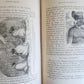 1883 ILLUSTRATED WORLD'S BELIEFS antique ERROR'S CHAINS FORGED & BROKEN occult