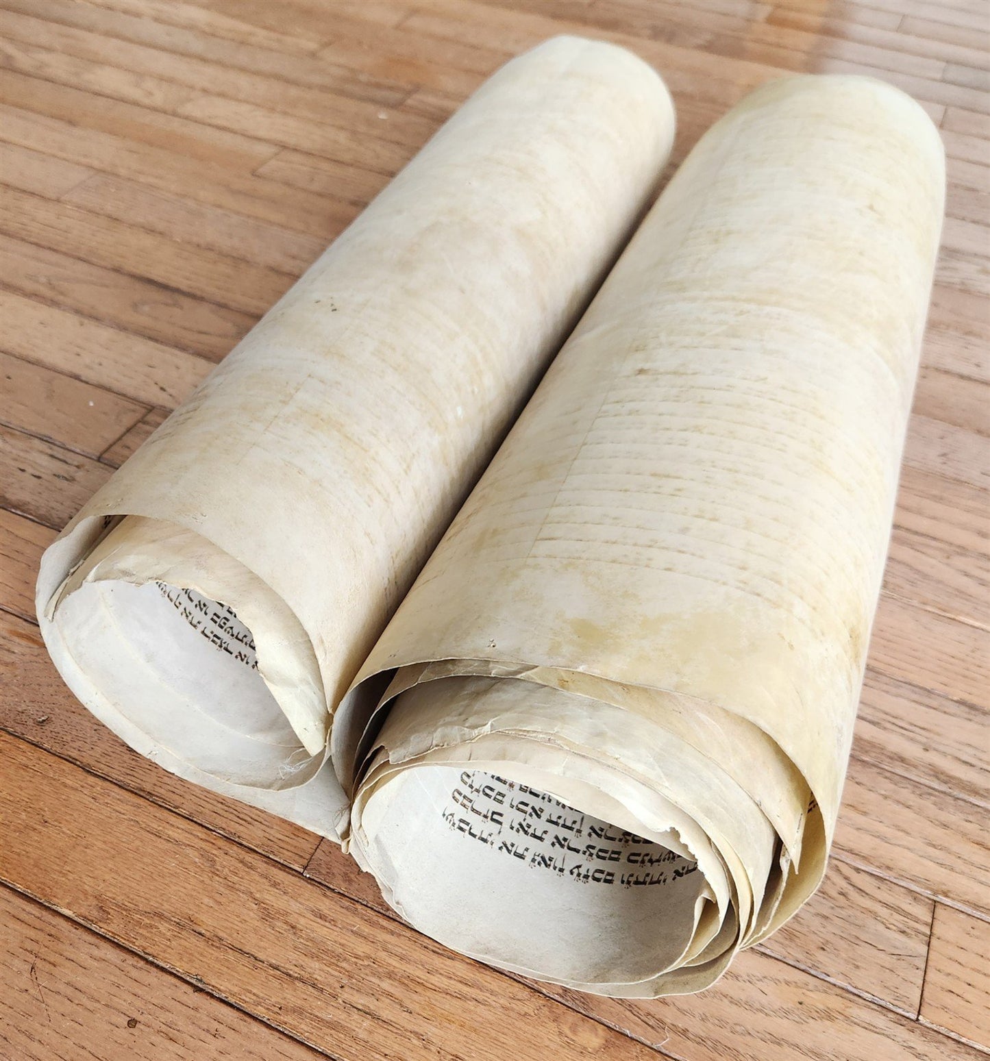 TORAH SCROLL FRAGMENT MANUSCRIPT on VELLUM 19th c. ANTIQUE BIBLE Leviticus 8-27