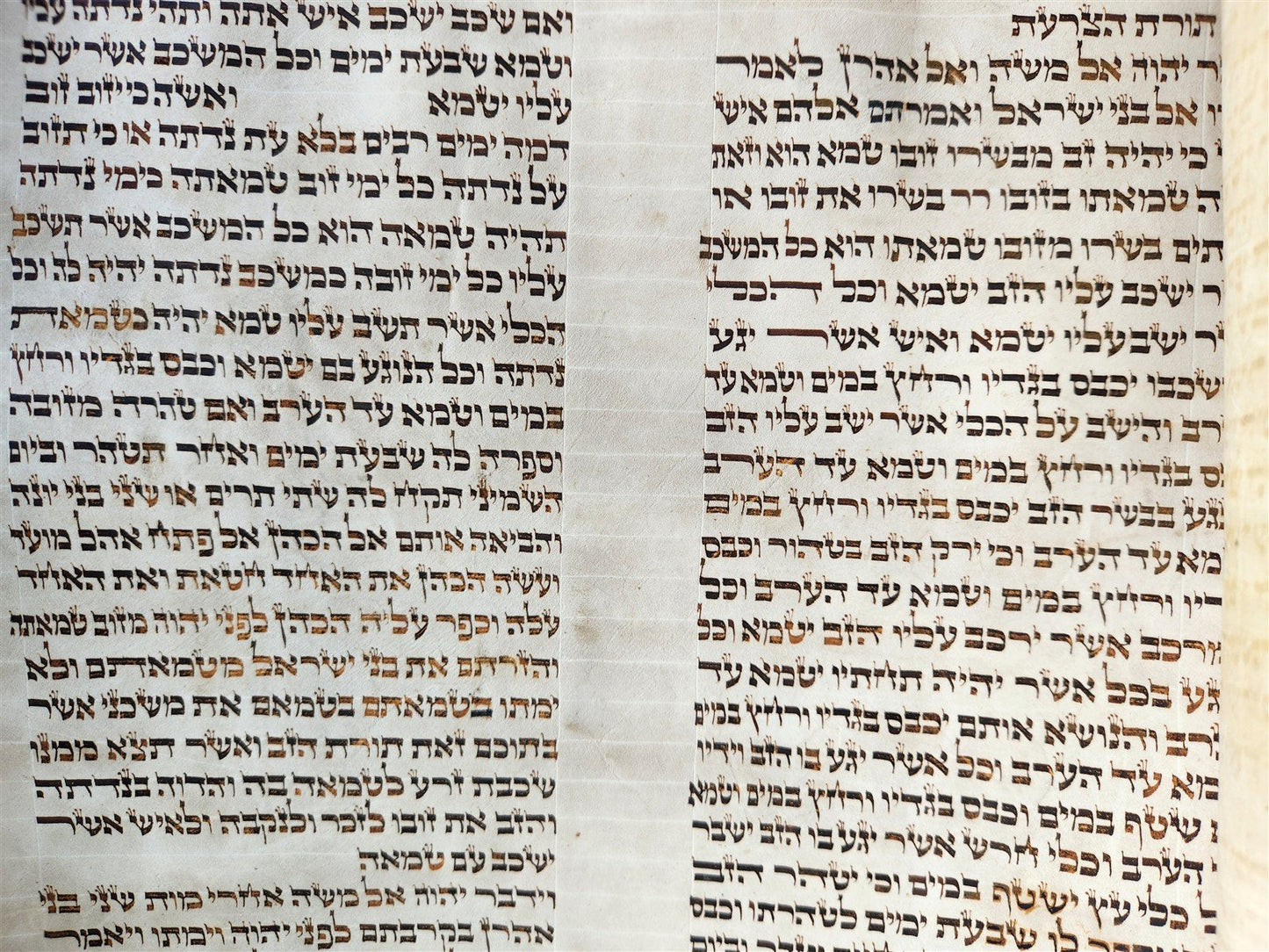 TORAH SCROLL FRAGMENT MANUSCRIPT on VELLUM 19th c. ANTIQUE BIBLE Leviticus 8-27