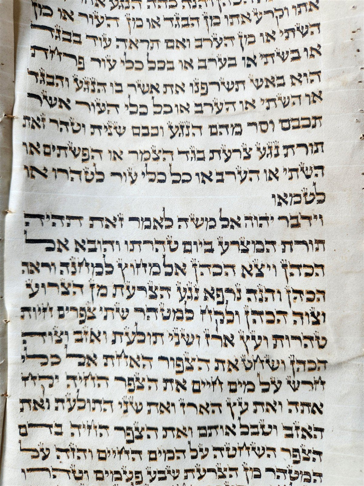 TORAH SCROLL FRAGMENT MANUSCRIPT on VELLUM 19th c. ANTIQUE BIBLE Leviticus 8-27