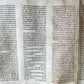 TORAH SCROLL FRAGMENT MANUSCRIPT on VELLUM 19th c. ANTIQUE BIBLE Leviticus 8-27