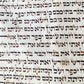 TORAH SCROLL FRAGMENT MANUSCRIPT on VELLUM 19th c. ANTIQUE BIBLE Leviticus 8-27