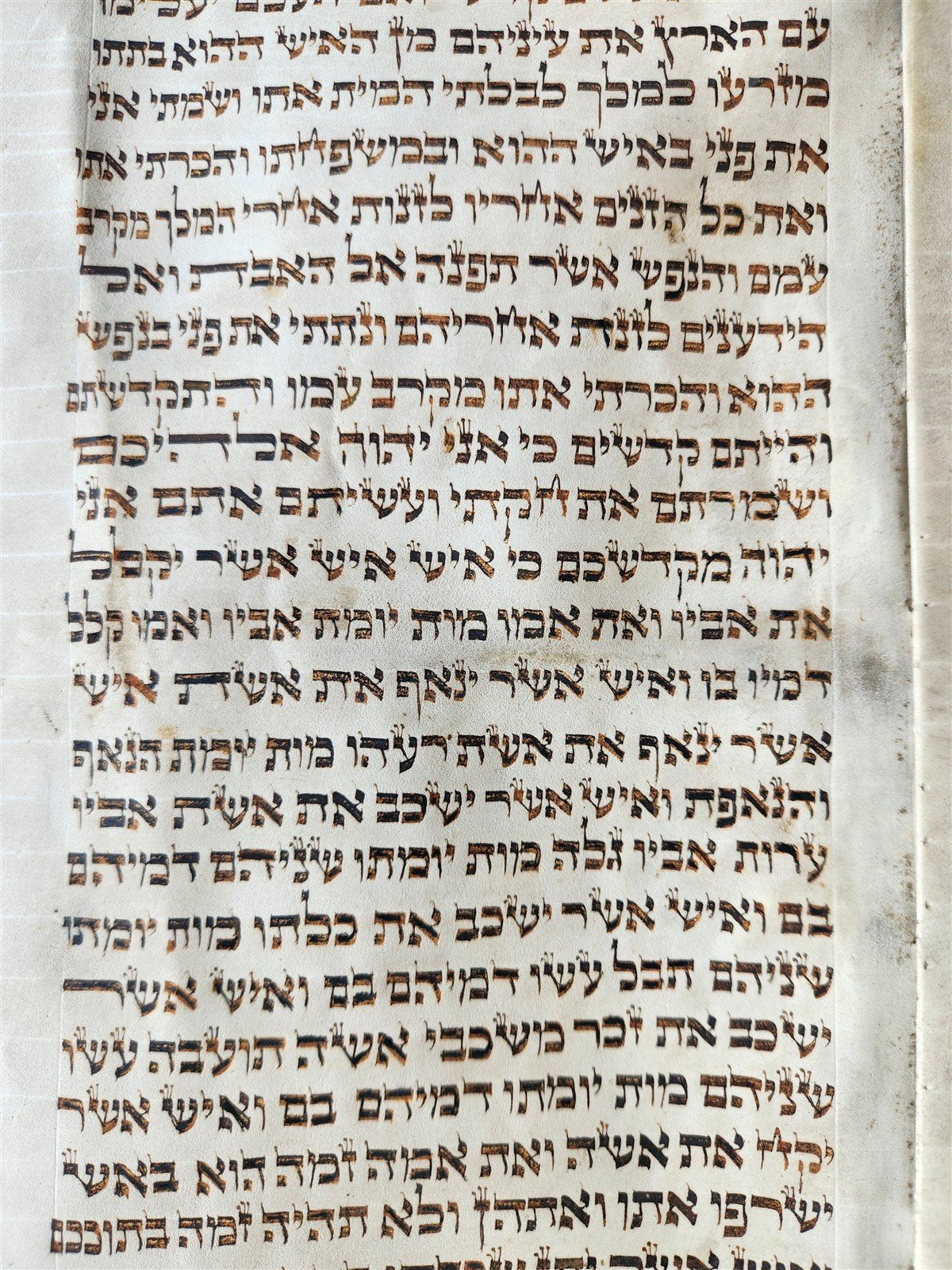 TORAH SCROLL FRAGMENT MANUSCRIPT on VELLUM 19th c. ANTIQUE BIBLE Leviticus 8-27