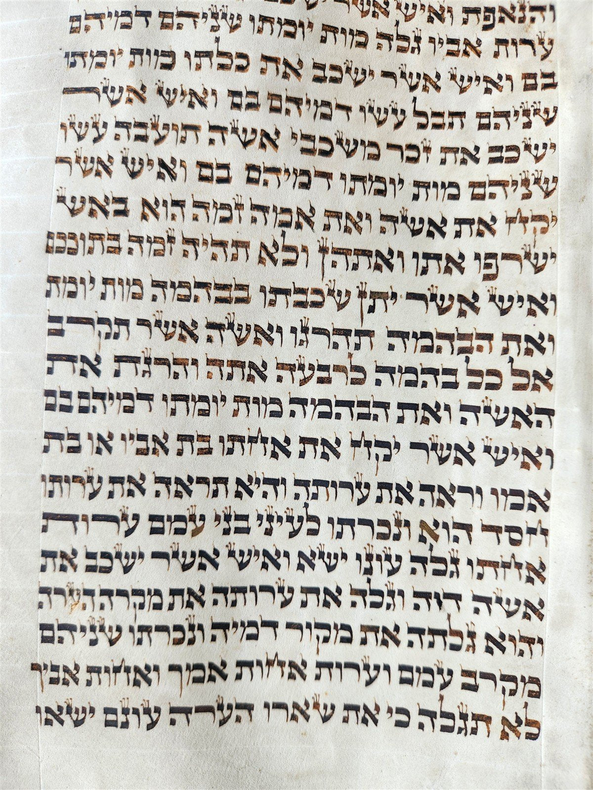 TORAH SCROLL FRAGMENT MANUSCRIPT on VELLUM 19th c. ANTIQUE BIBLE Leviticus 8-27