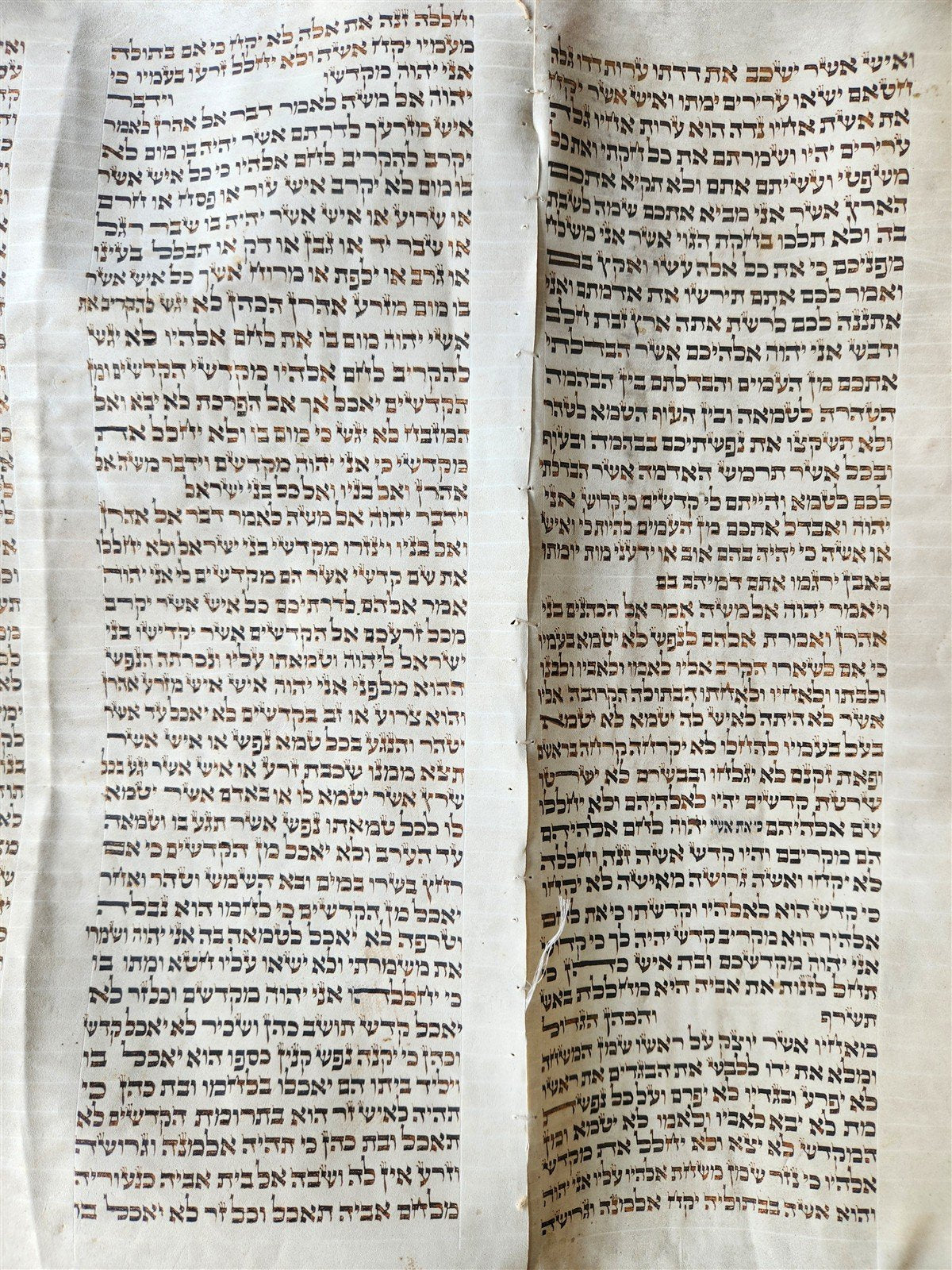 TORAH SCROLL FRAGMENT MANUSCRIPT on VELLUM 19th c. ANTIQUE BIBLE Leviticus 8-27