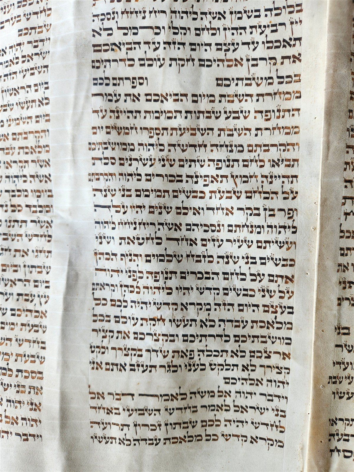 TORAH SCROLL FRAGMENT MANUSCRIPT on VELLUM 19th c. ANTIQUE BIBLE Leviticus 8-27